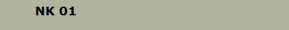 NK 01